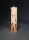 DSCN3804.webp