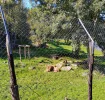 IMG_20251004_120741_HDR~2.webp