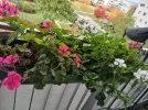 20251010_092859.webp