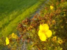 DSCN6899.webp