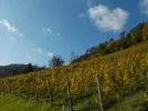 DSCN6900.webp