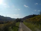 DSCN6902.webp
