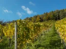 DSCN6905.webp