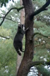 _IMGP5741k.webp
