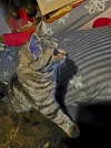 20251014_214420.webp