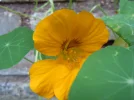 DSCN0276.webp