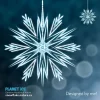 snowflake-5.webp