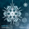 snowflake (5).webp