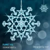 snowflake-5.webp