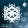 snowflake.webp