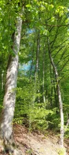 1000064745.webp