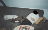 Bullis 001.webp