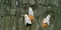 IMG_1430.webp