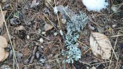 20150215_170639.webp