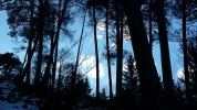 20150215_170033.webp