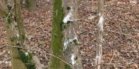 IMG_6145.webp IMG_6145.webp