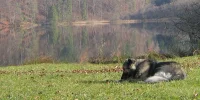 IMG_9452.webp