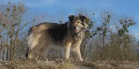 IMG_3585_sagen.webp