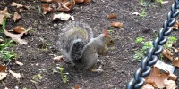 IMG_4159.webp