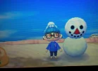 ACNL.webp