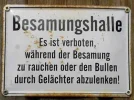 Besamungshalle.webp