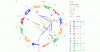 linse radix.gif linse radix.gif