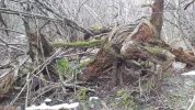 20150301_162929.webp