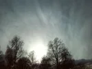 from.the.friedhof.webp