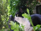 dscn3131.webp