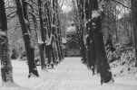 44 schwarz weiss.webp