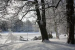 30.01.2010 228 kleiner.webp
