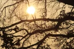 Dezember 2008 311.webp