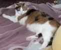 Tiggy.webp