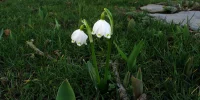 IMG_6172.webp
