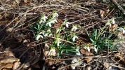 20150307_150101.webp