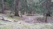 20150308_165430.webp