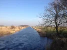image.webp