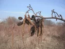 DSCF6429.webp