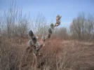 DSCF6438.webp