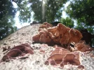 DSCF5908.webp