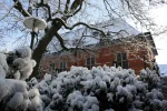 30.01.2010 272 (1024x683).webp