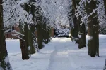 30.01.2010 248 kleiner.webp