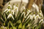 _DSC5167.webp