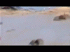 Beweise3.GIF