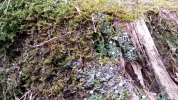 20150315_155120.webp