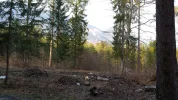 20150315_164827.webp
