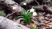 20150316_173516.webp