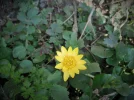 DSCF6465.webp