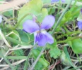 DSCF6464 (3).webp