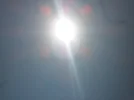 SAM_5314.webp